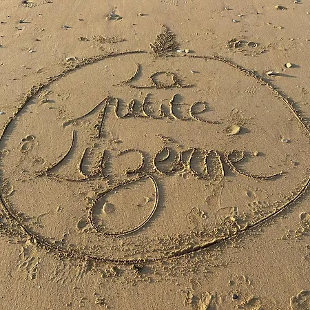 La Petite Luzerne 300m De La Plage, Cosy Et Confortable Maison Renovee Pour 8 * Bernières-sur-Mer