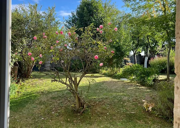 La Petite Luzerne 300m De La Plage, Cosy Et Confortable Maison Renovee Pour 8 *